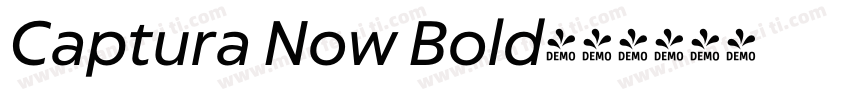 Captura Now Bold字体转换